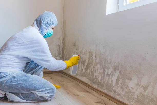 Commercial Mold Remediation assessment for commercial property in Teaneck