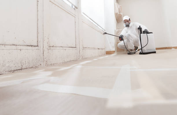 Black mold remediation team in Teaneck